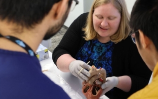 Instructor and student observe plastinated specimen.