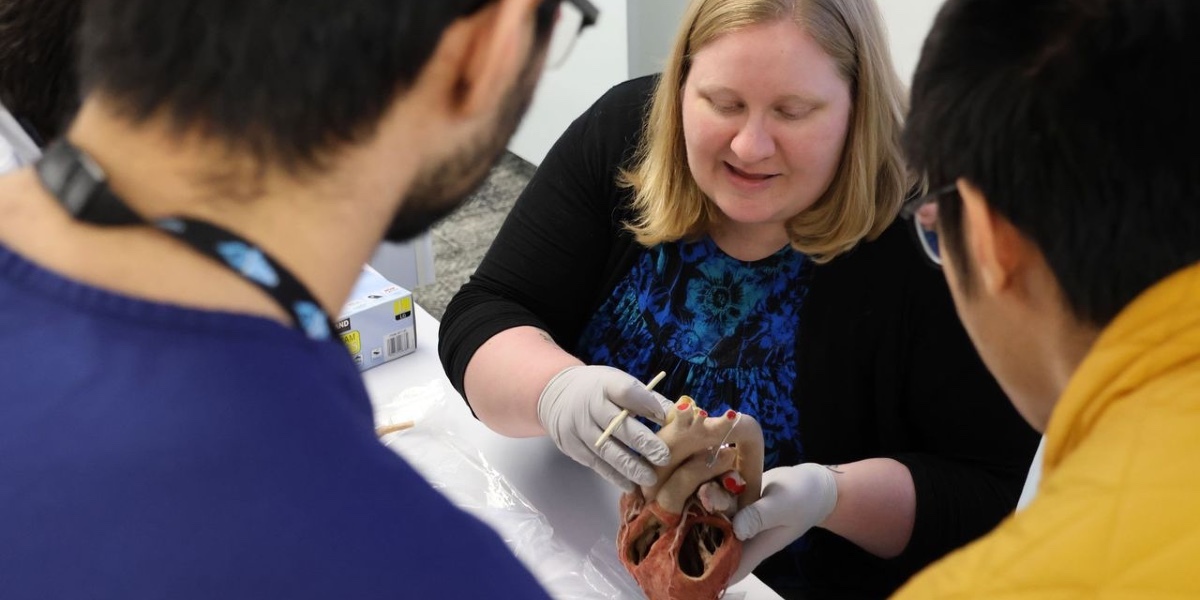 Instructor and student observe plastinated specimen.
