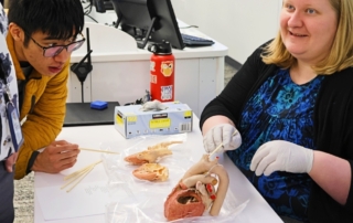Curran shows plastinated heart to students