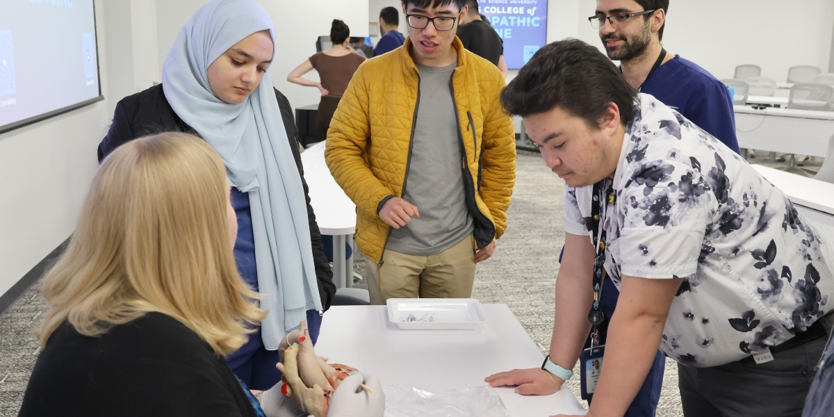 Students looking at plastinates.